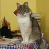Отзыв от Катюша Григорьева